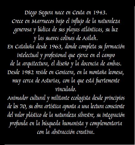 diego_segura_comentarios