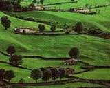 VIRNOLES_1